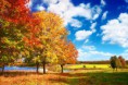 /album/fenykepgaleria/shutterstock-65146822-jpg/