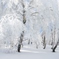 /album/fenykepgaleria/shutterstock-87251284-jpg/