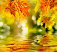 /album/fenykepgaleria/shutterstock-91372724-jpg/