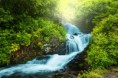 /album/fenykepgaleria/shutterstock-124816687-jpg/